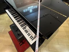 -柏斯琴行(汾阳店)