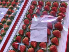 -海吉星国际农产品物流管理有限公司