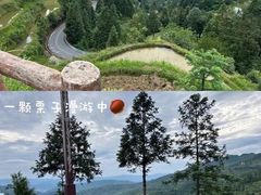 -肇兴侗寨