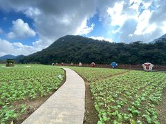 -广州市石门国家森林公园