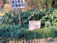 -紫霞湖公园