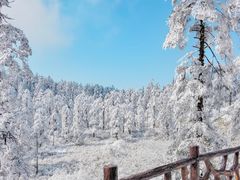 -瓦屋山景区