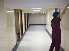 -瑞鹏宠物医院·微创内窥镜·骨外科·牙科(翠竹分院)