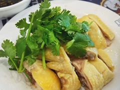 -司鼎鸡(青松路店)