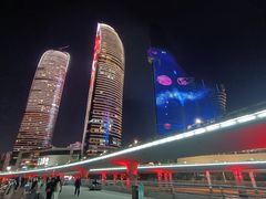 -演武大桥观景平台