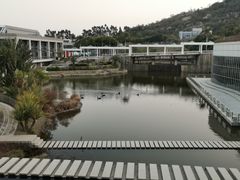 -厦门国家会计学院