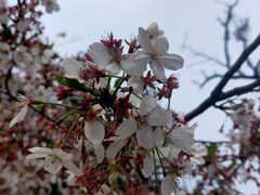 -汇泉广场