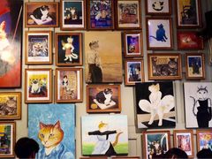 -猫咪博物馆(顶澳仔猫街店)