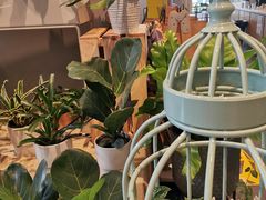-dotcom coffee古点咖啡(致真大厦店)