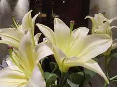 -南堂館川菜文化餐厅(天府店)