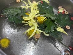 -港升鱼师傅·中山脆肉鲩