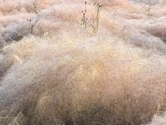 -华山御温泉度假村