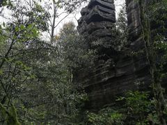 -梭布垭石林景区