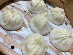鲜肉小笼-苏小柳手工点心(人民广场分院)