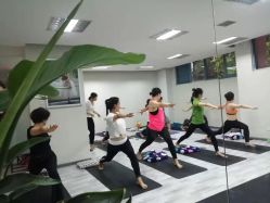 -榕树上·瑜伽普拉提