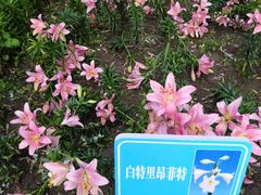 -文瀛公园