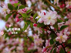 -望湖公园