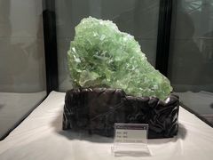 -郴州市博物馆