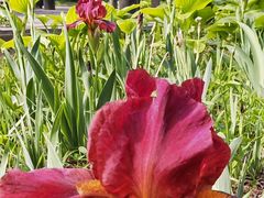 -国家植物园南园