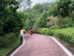 -大屏嶂森林公园
