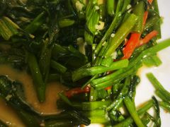 -老广酒楼(樱花店)