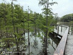 -昆山城市生态森林公园