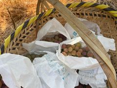 -马陆小张葡萄园农家乐