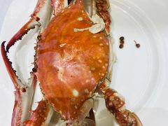 -北塘海鲜·天津菜(大光明桥旗舰店)