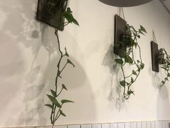 -醉牛腩·面小馆