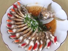 -优护优家Ucare月嫂育儿嫂陪伴师(静安店)
