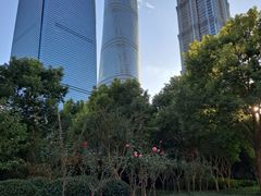 -陆家嘴中心绿地