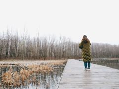 -溱湖国家湿地公园