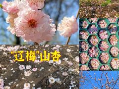 -国家植物园