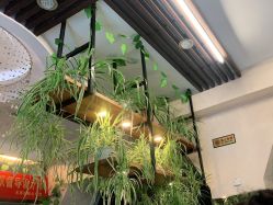 -MJ名将造型