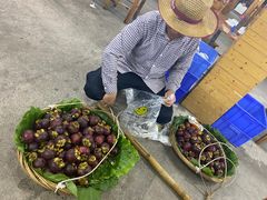 -明记海鲜大排档(巽寮湾店)
