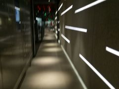 -威尔仕健身·游泳(KING88店)