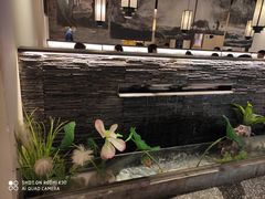 -大榕树下顺德菜(融创茂店)