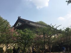 -鸡鸣赐茶(鸡鸣寺路店)