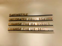 -崇尚GAVIN STYLE
