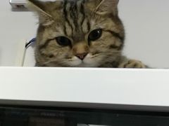 -无趣桌游狼人杀店