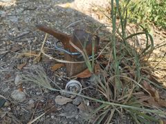 -西涌国际滨海旅游区