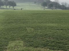 -重庆市江北嘴中央商务区中央公园