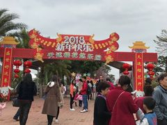 -天适樱花悠乐园