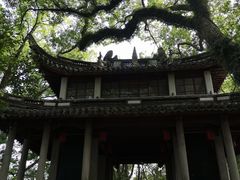 -溪口-滕头旅游景区