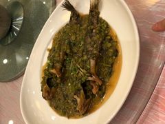 -上海安亭别墅花园酒店