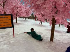 -广州热雪奇迹