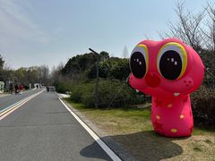 -同里国家湿地公园