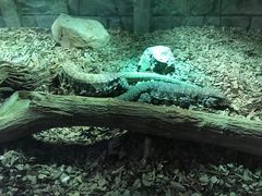 -海合安武汉极地海洋公园