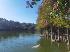 -东莞市可园博物馆