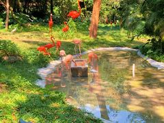 -深圳野生动物园